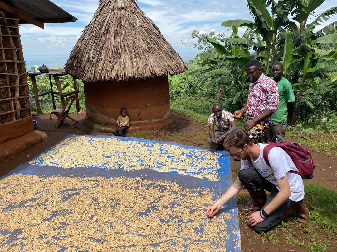 Bønner fra Uganda: Oppdag den unike smaken og tradisjonene