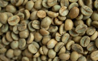 Bønner fra Rwanda: En Reise gjennom Smak og Kvalitet