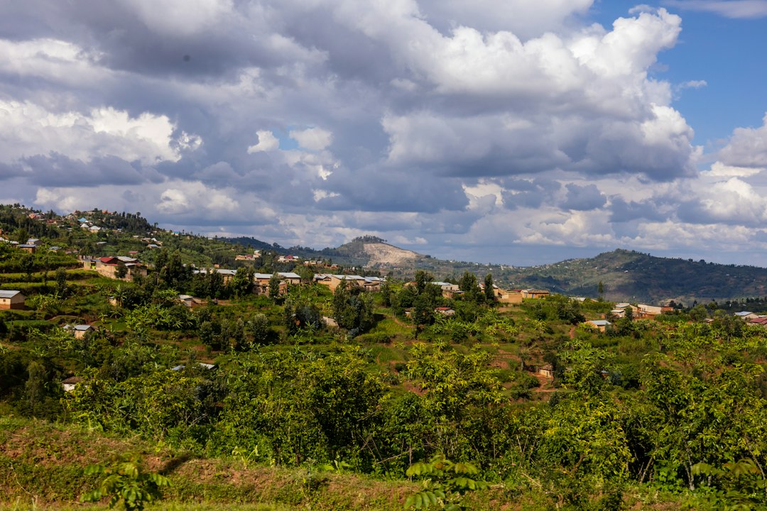Bønner fra Rwanda: En Dypdykk i Kvalitet og Smak